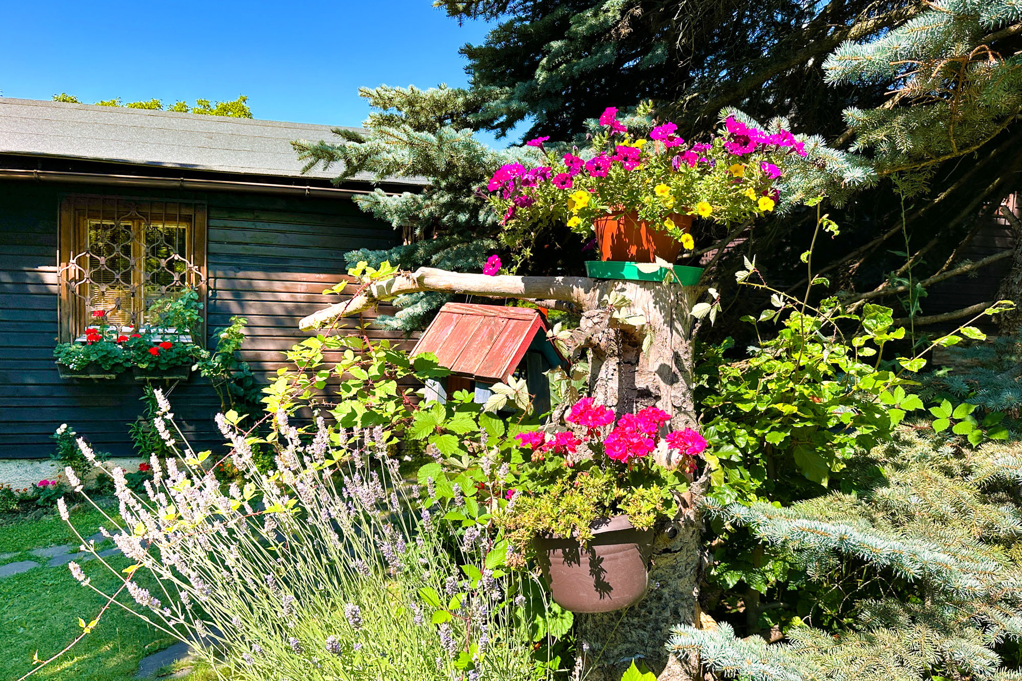 REZERVOVANÉ 4-izbová chata, 74m2, Počúvadlo Jazero - Banská Štiavnica