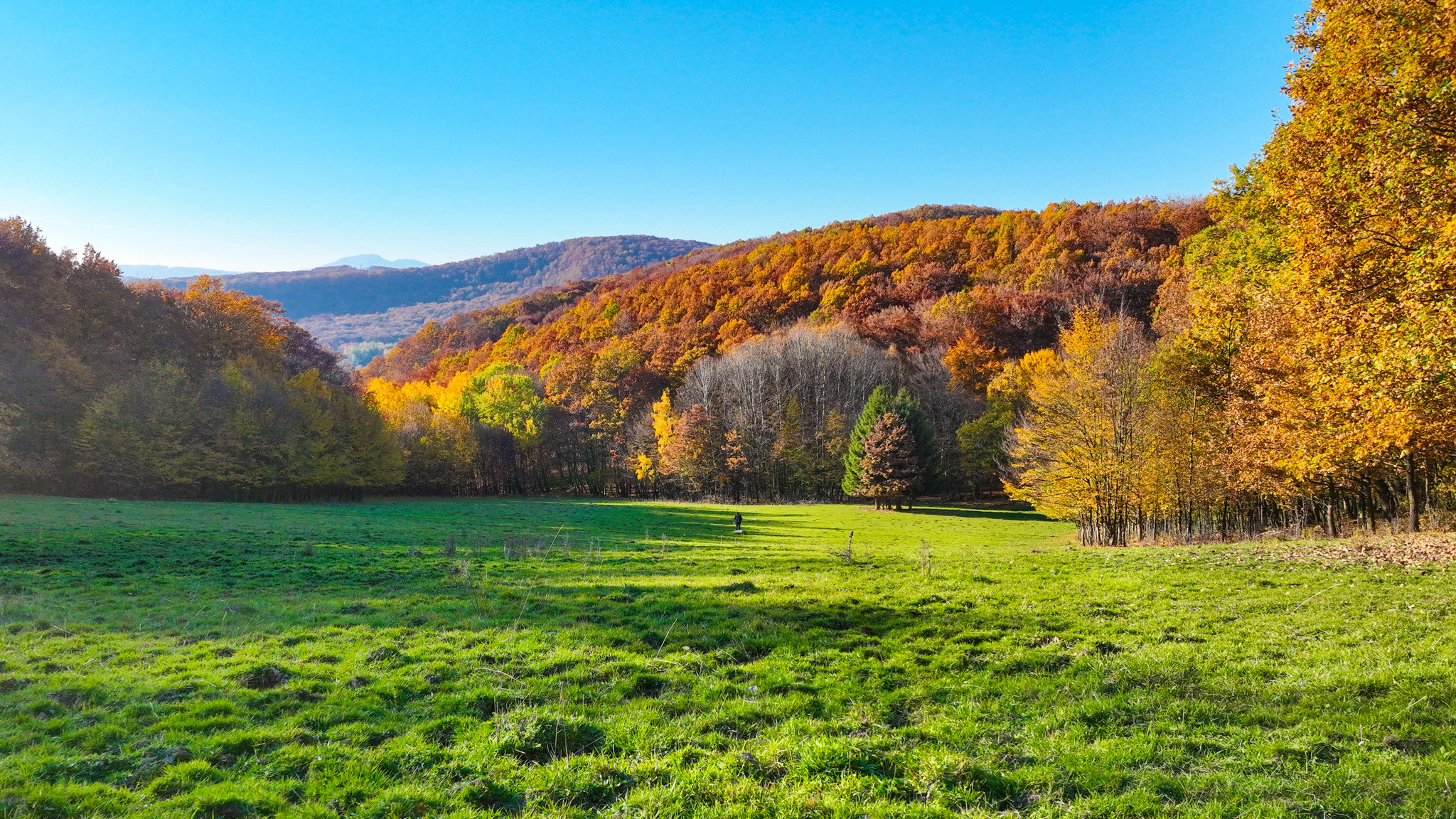 Slnečný, rekreačný pozemok o veľkosti 22 687m2, Krupina