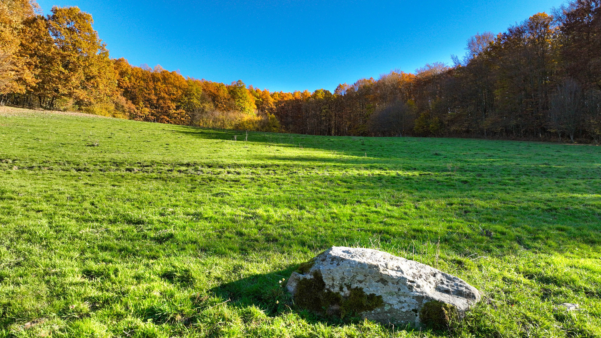 Slnečný, rekreačný pozemok o veľkosti 22 687m2, Krupina