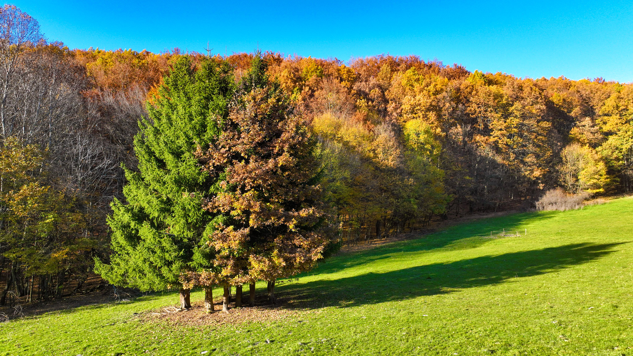 Slnečný, rekreačný pozemok o veľkosti 22 687m2, Krupina