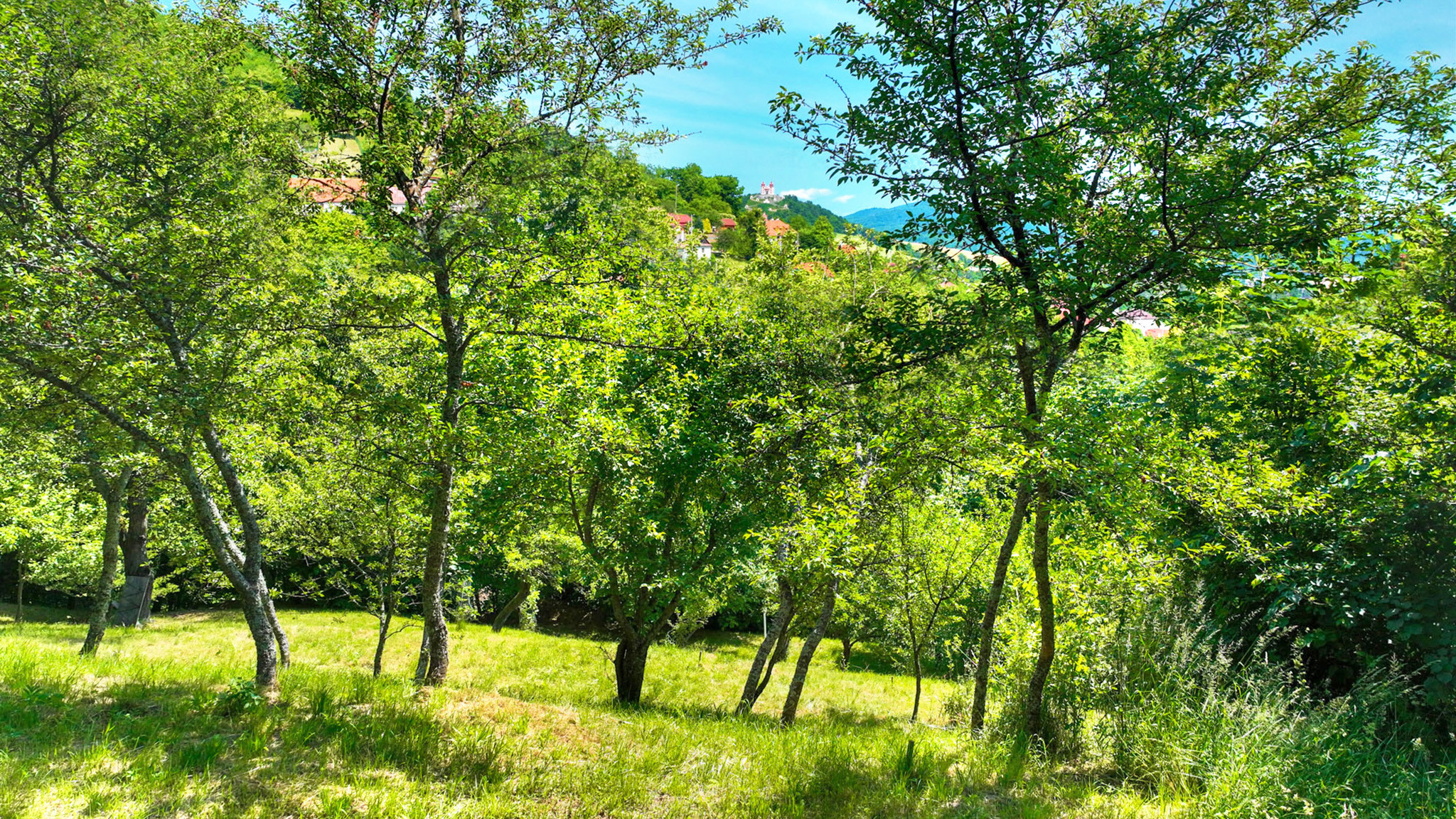 Slnečný, rekreačný pozemok 1250m2, centrum Banská Štiavnica