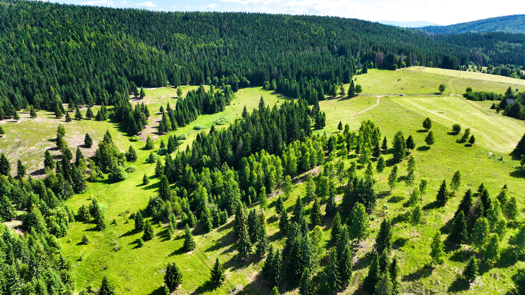 Stavebný pozemok 2.2ha v krásnom prostredí, Látky okr. Detva