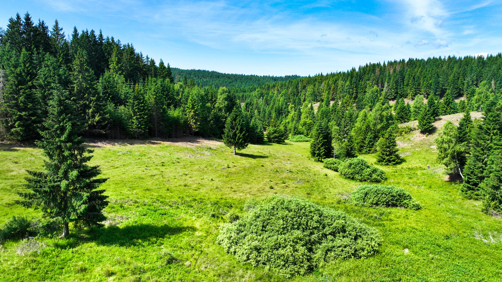 Stavebný pozemok 2.2ha v krásnom prostredí, Látky okr. Detva