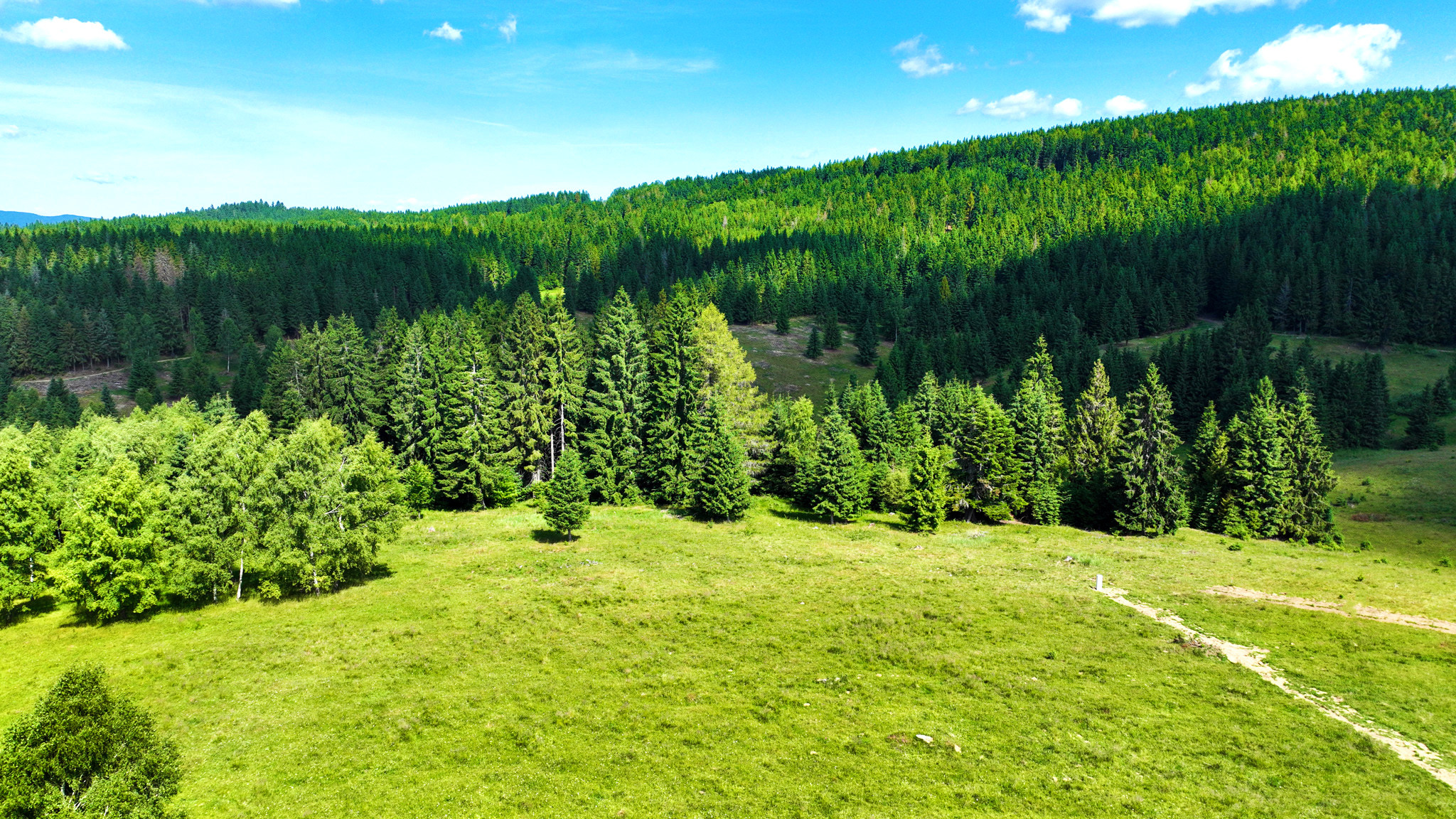 Stavebný pozemok 2.2ha v krásnom prostredí, Látky okr. Detva