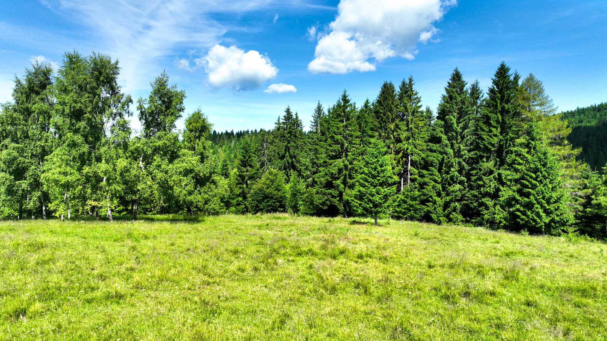 Stavebný pozemok 2.2ha v krásnom prostredí, Látky okr. Detva