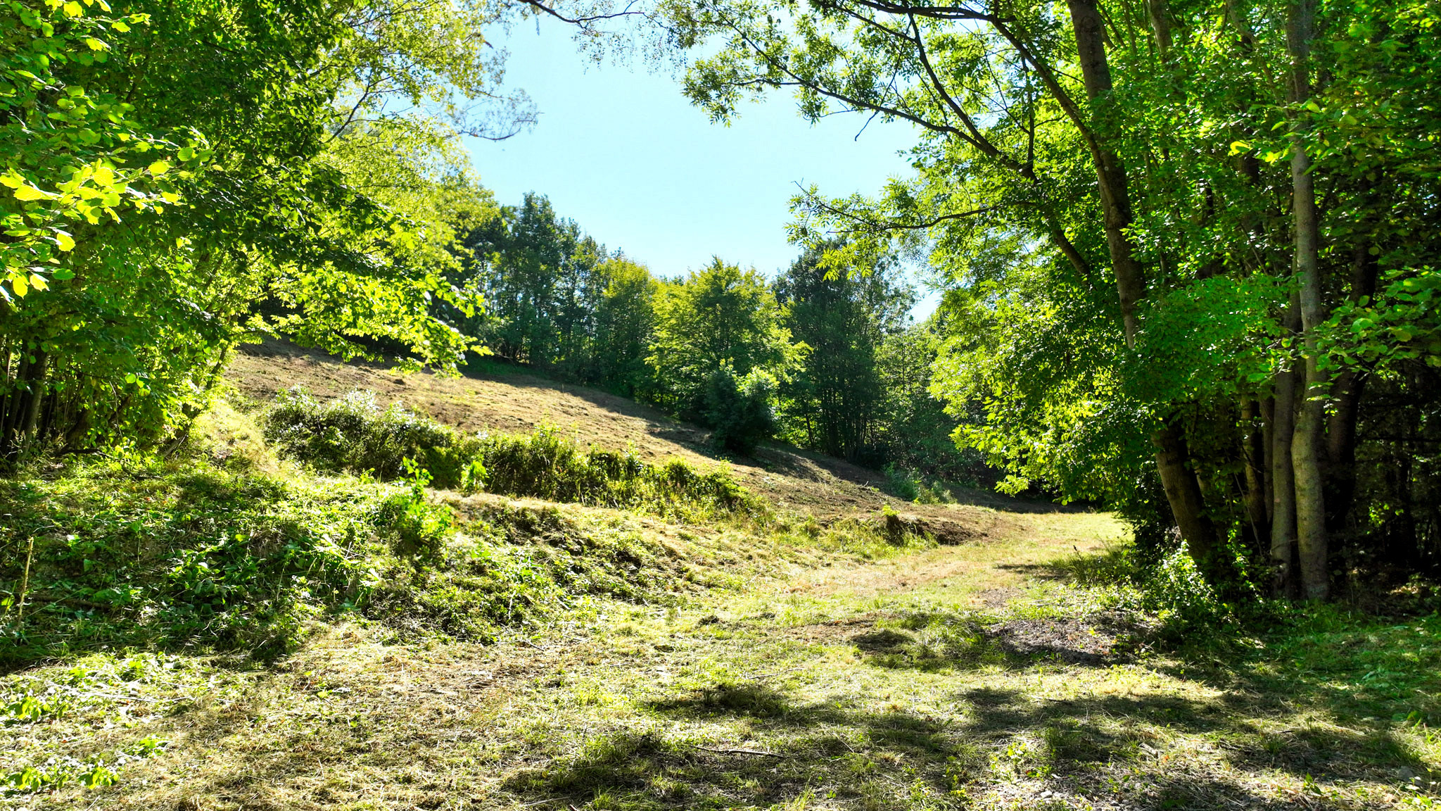 Pozemok so stavebným povolením, 2781m2 - Banská Štiavnica