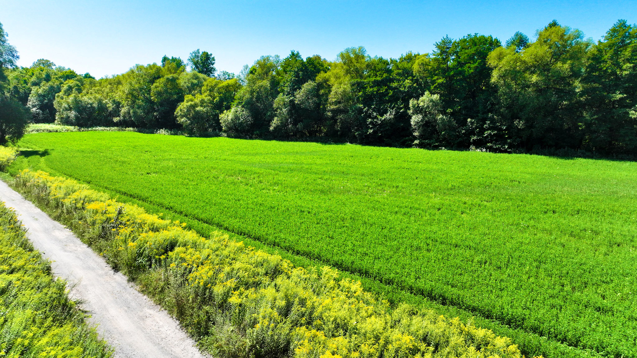 Investičný pozemok 6000m2 Banská Bystrica - Iliaš