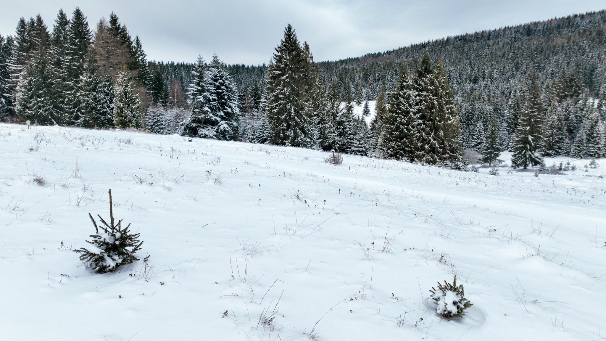Pozemok so stavebným povolením 22200m2, Látky okr. Detva