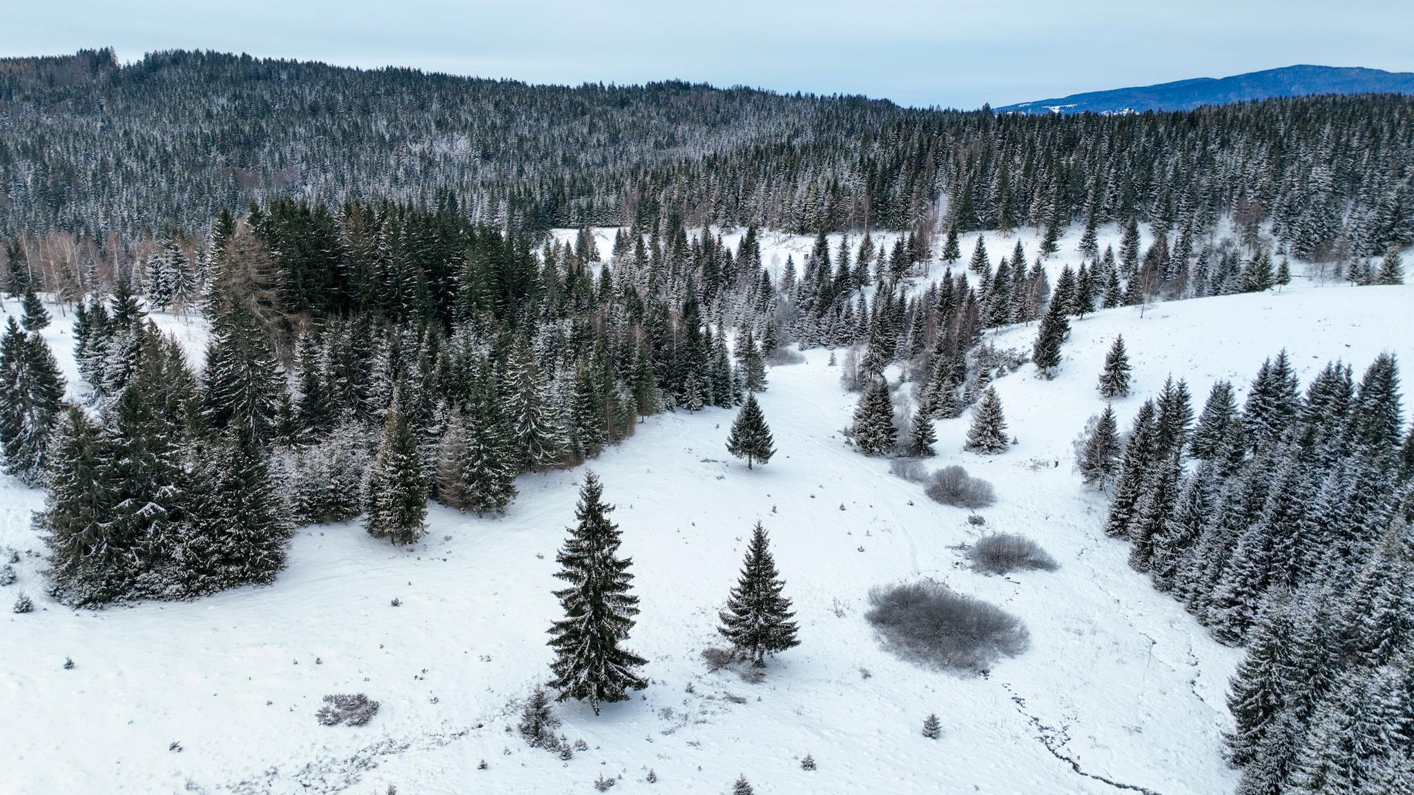 Pozemok so stavebným povolením 22200m2, Látky okr. Detva