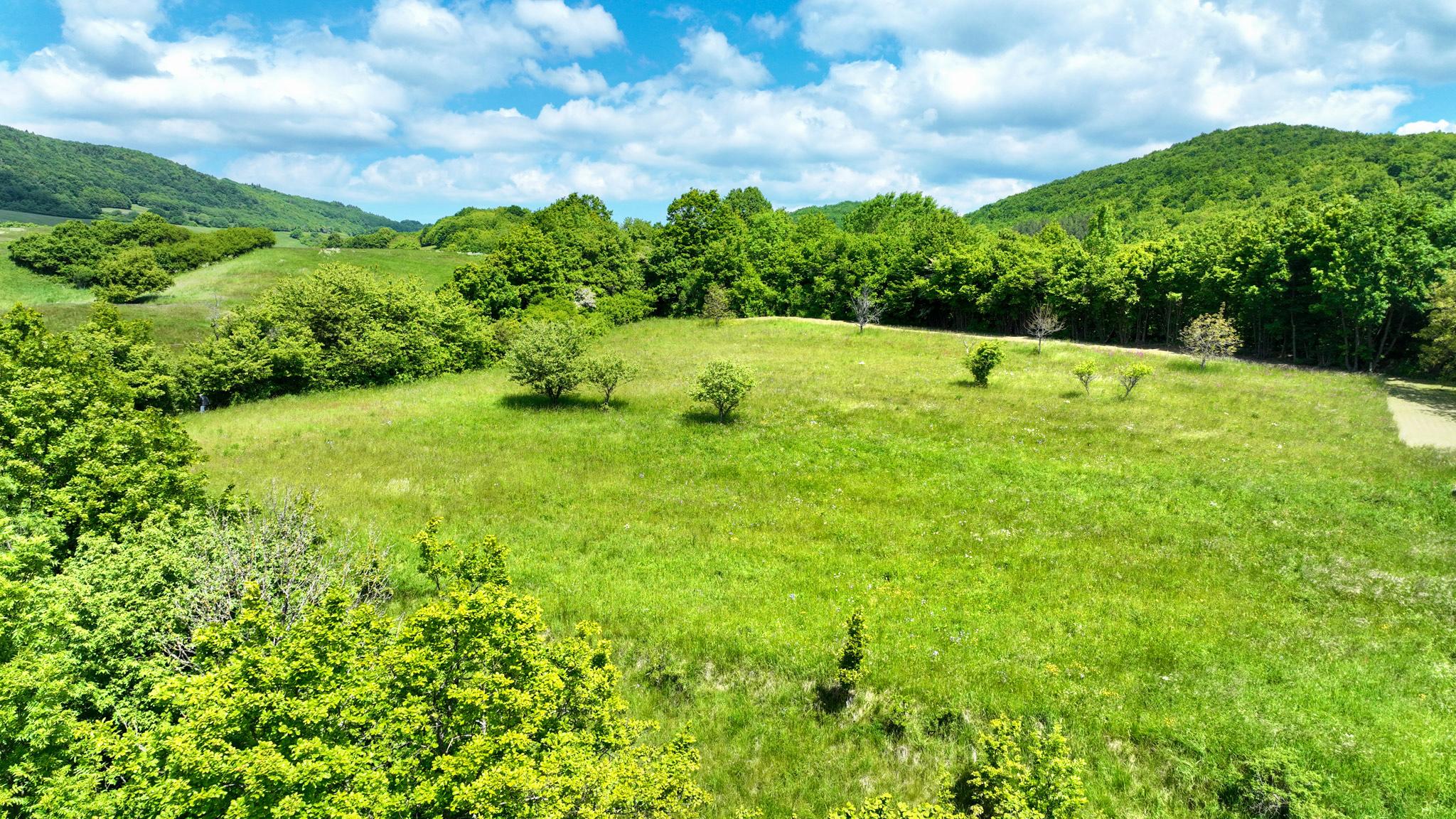 Rovinatý, slnečný pozemok s možnosťou stavby, Banská Belá