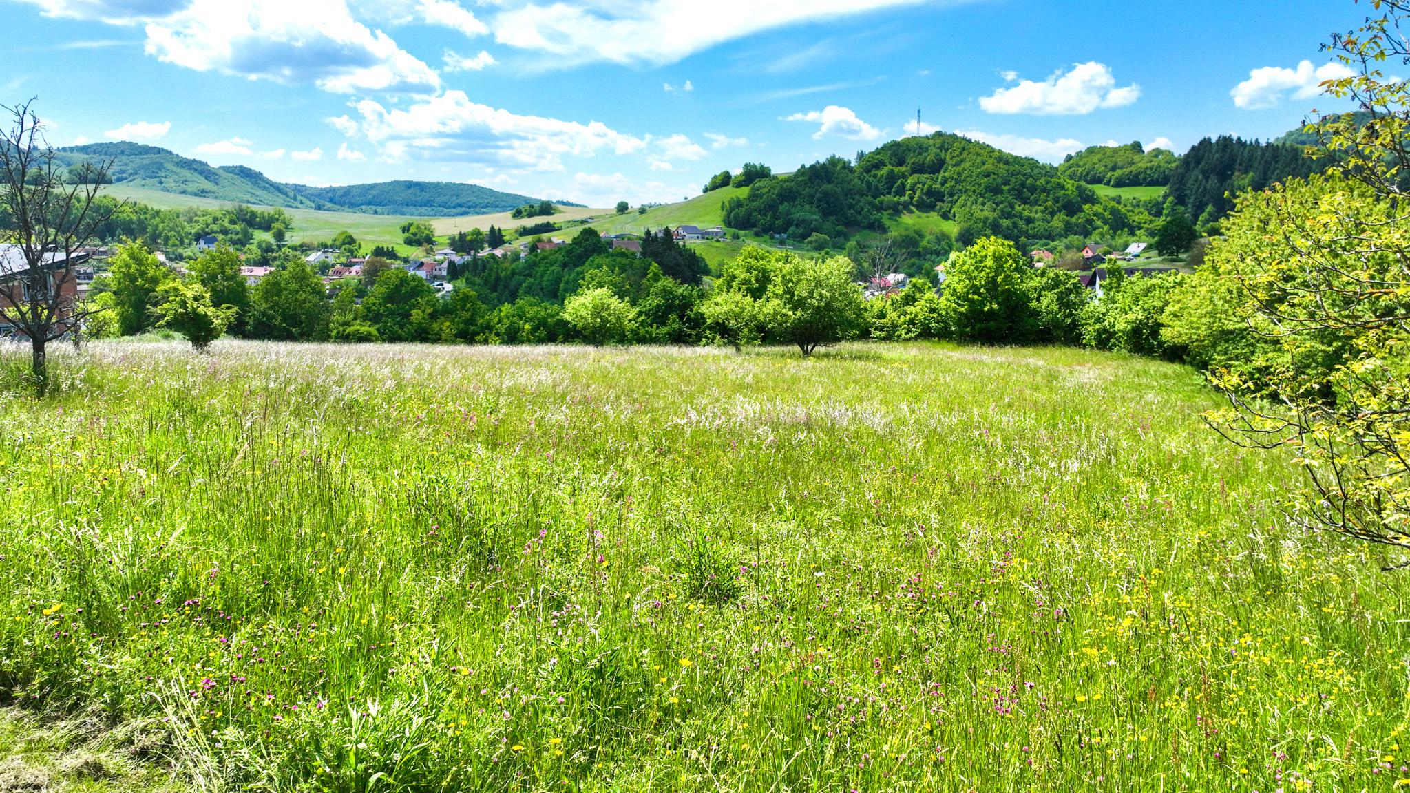 Rovinatý, slnečný pozemok s možnosťou stavby, Banská Belá