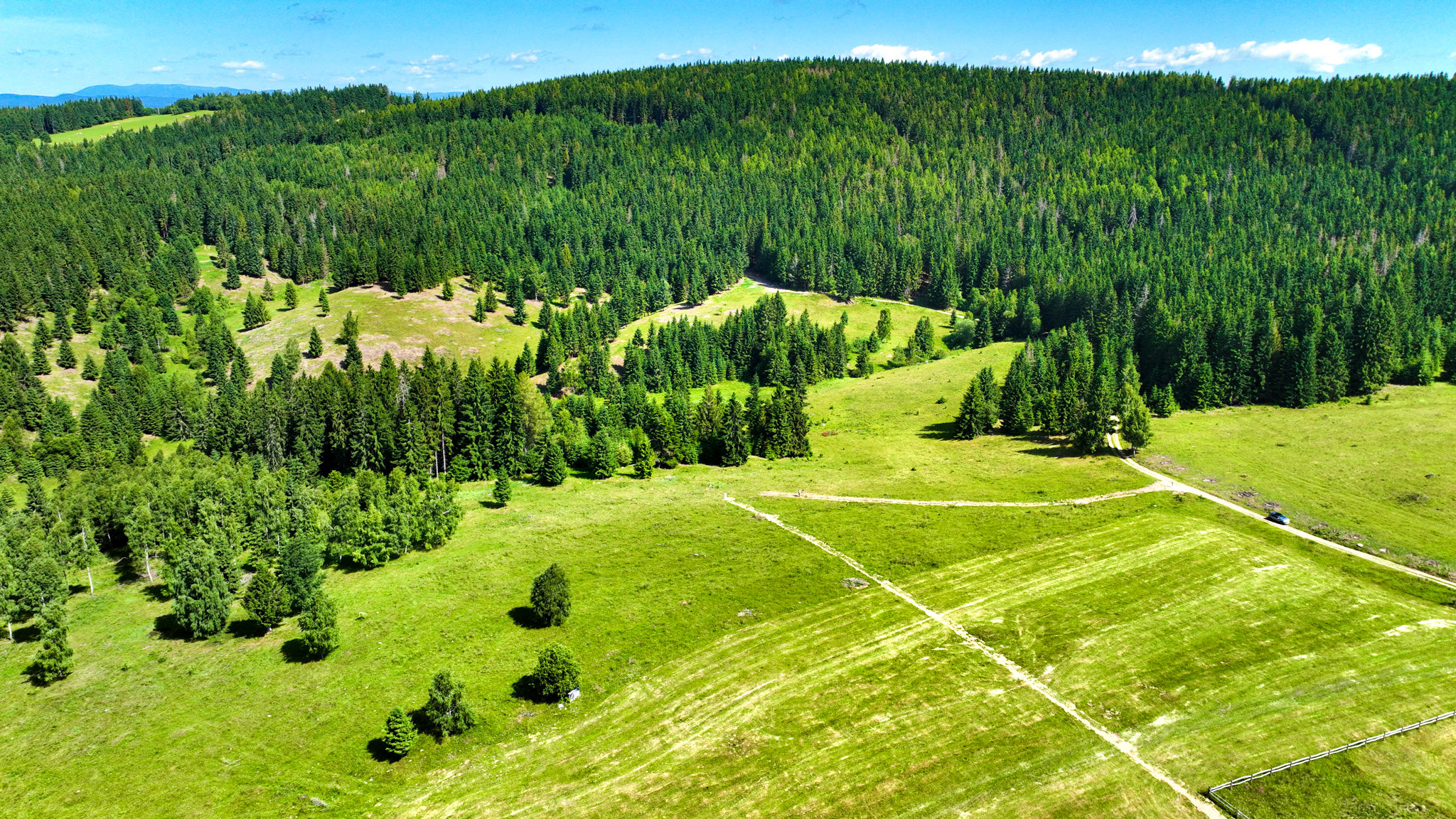 Pozemok so stavebným povolením 22200m2, Látky okr. Detva