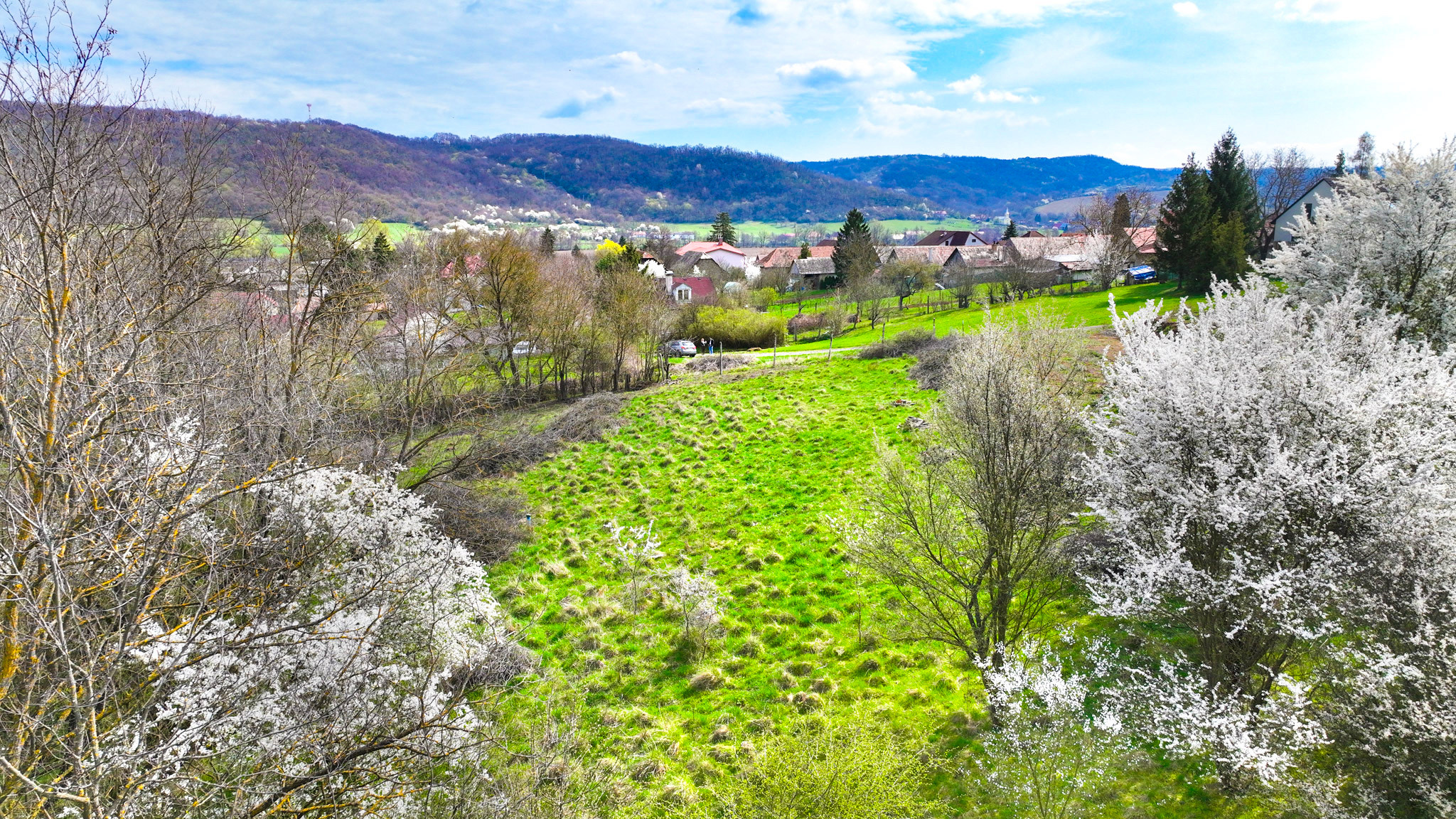 Slnečný stavebný pozemok 3500m2 Hontianske Tesáre