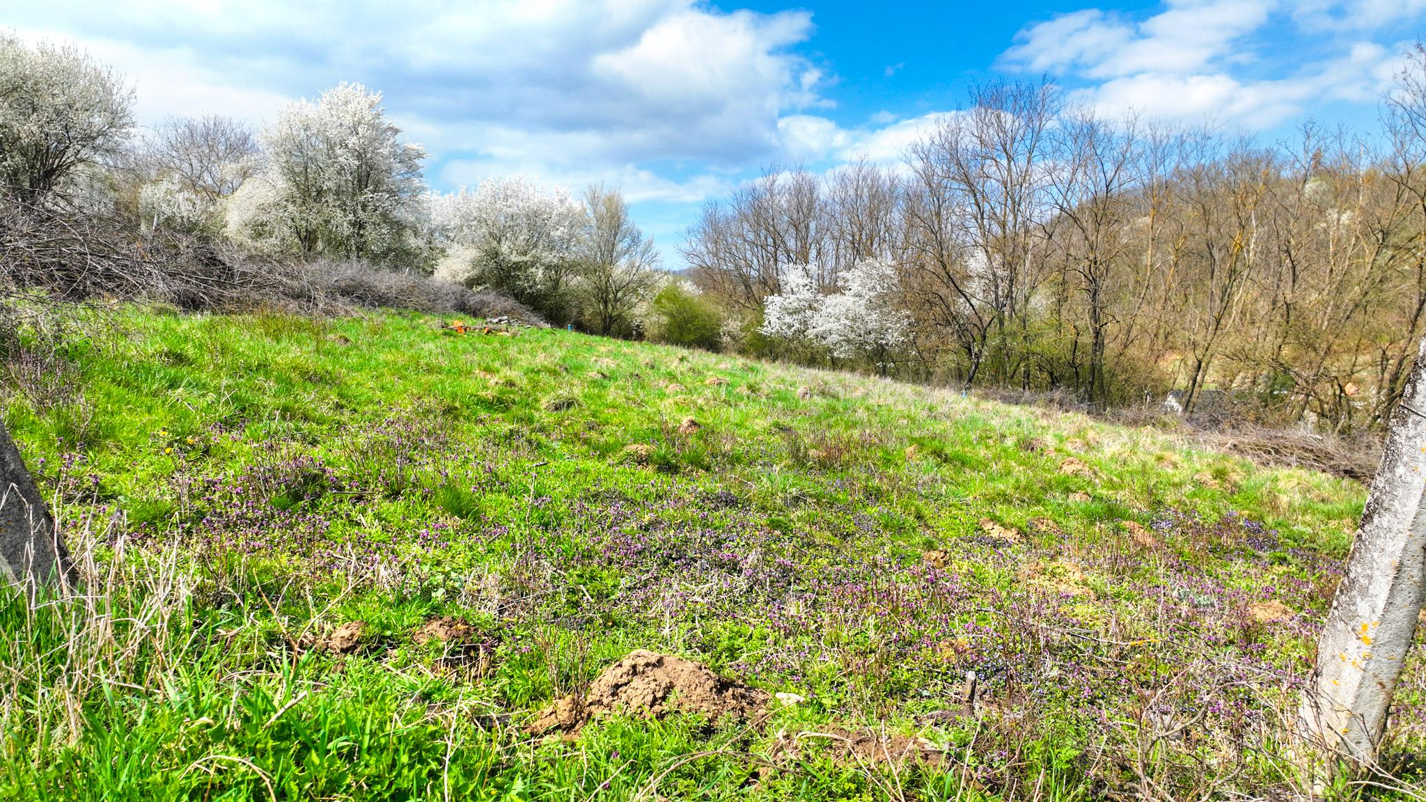 Slnečný stavebný pozemok 3500m2 Hontianske Tesáre