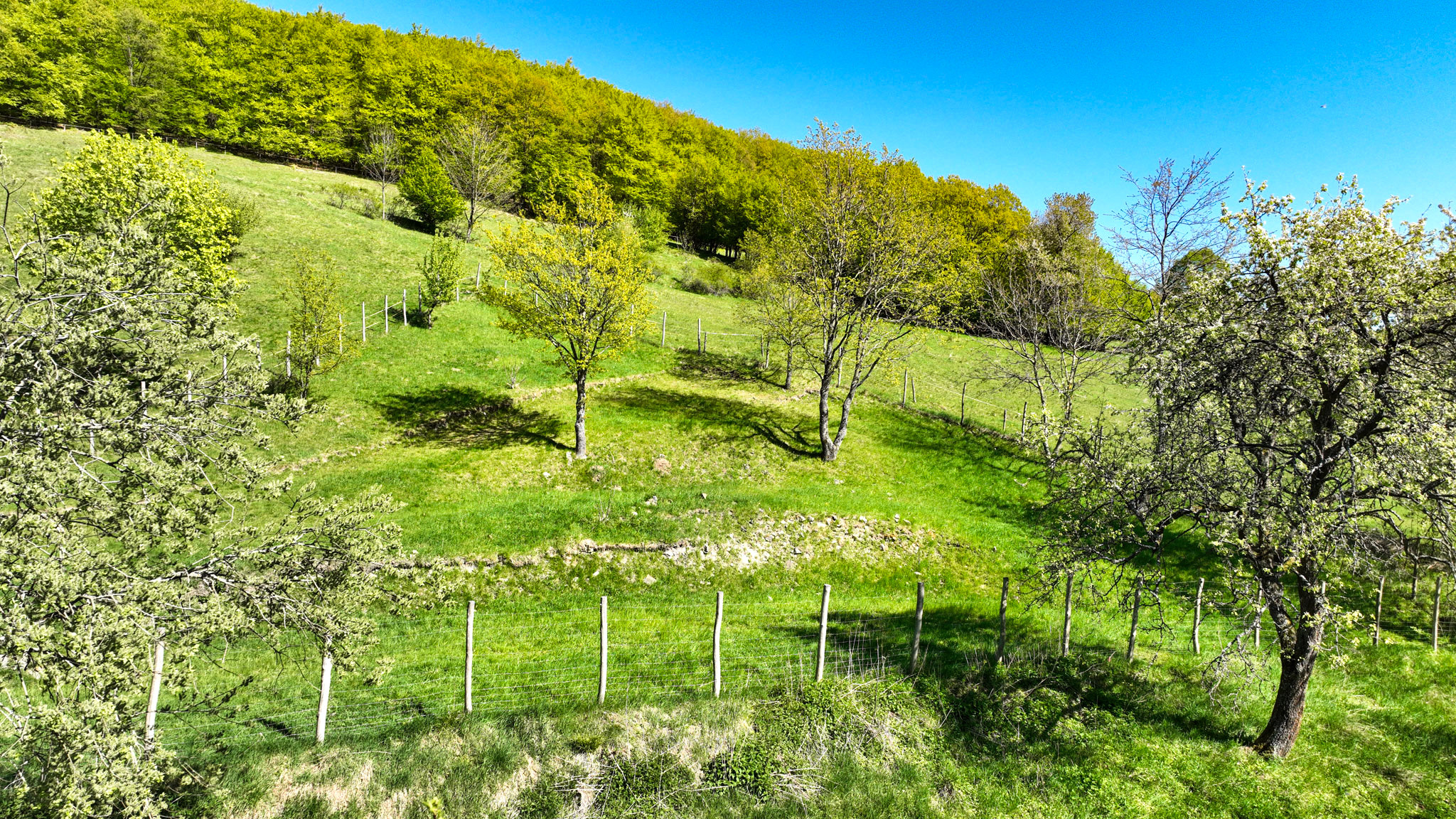 Krásny pozemok pre výstavbu chaty - chalupy 1281m2, Uhliská