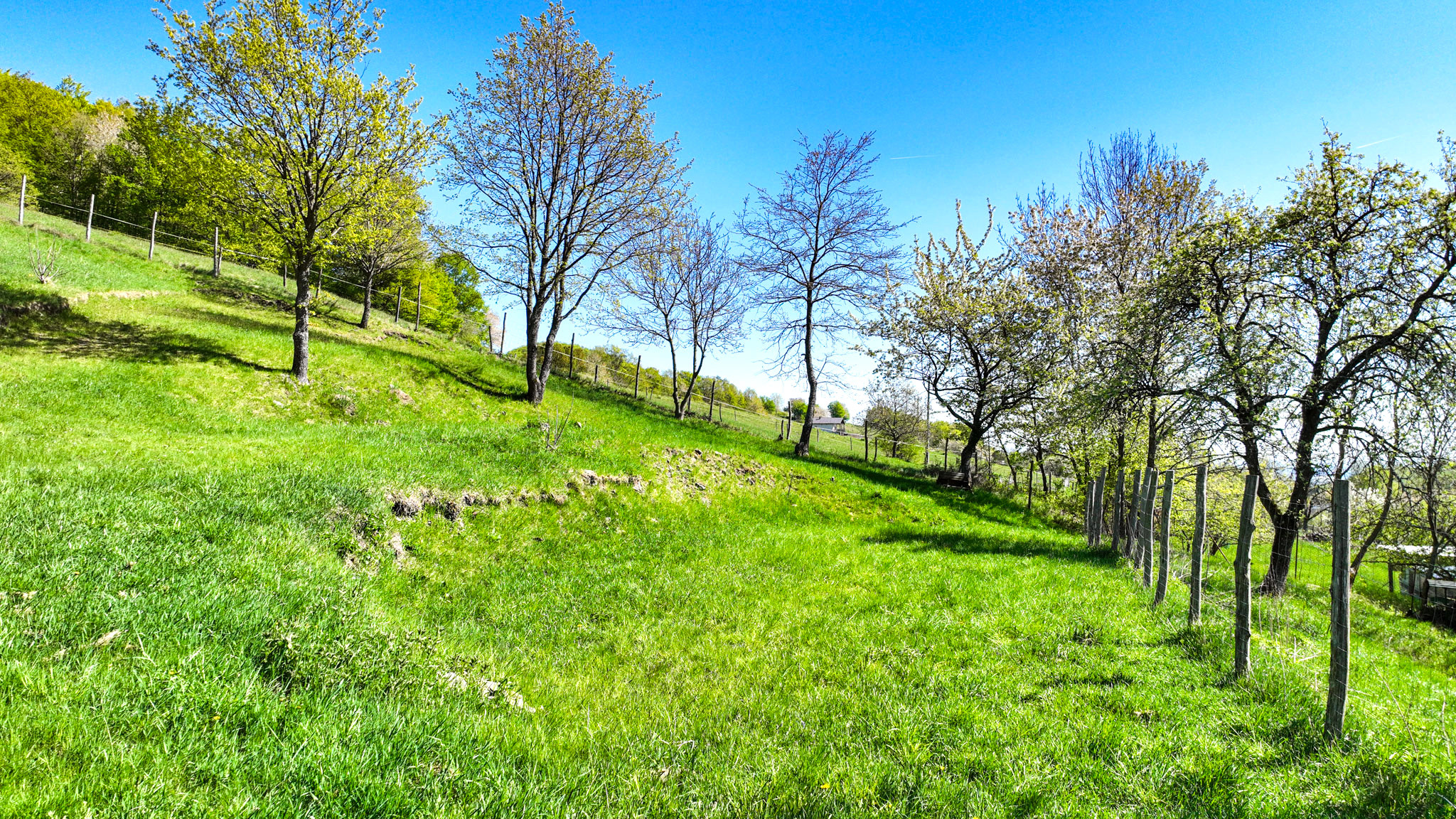 Krásny pozemok pre výstavbu chaty - chalupy 1281m2, Uhliská