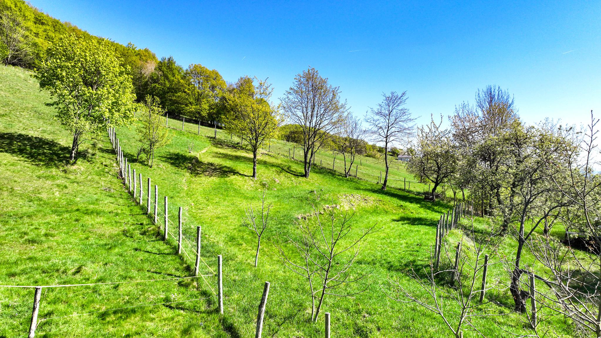 Krásny pozemok pre výstavbu chaty - chalupy 1281m2, Uhliská