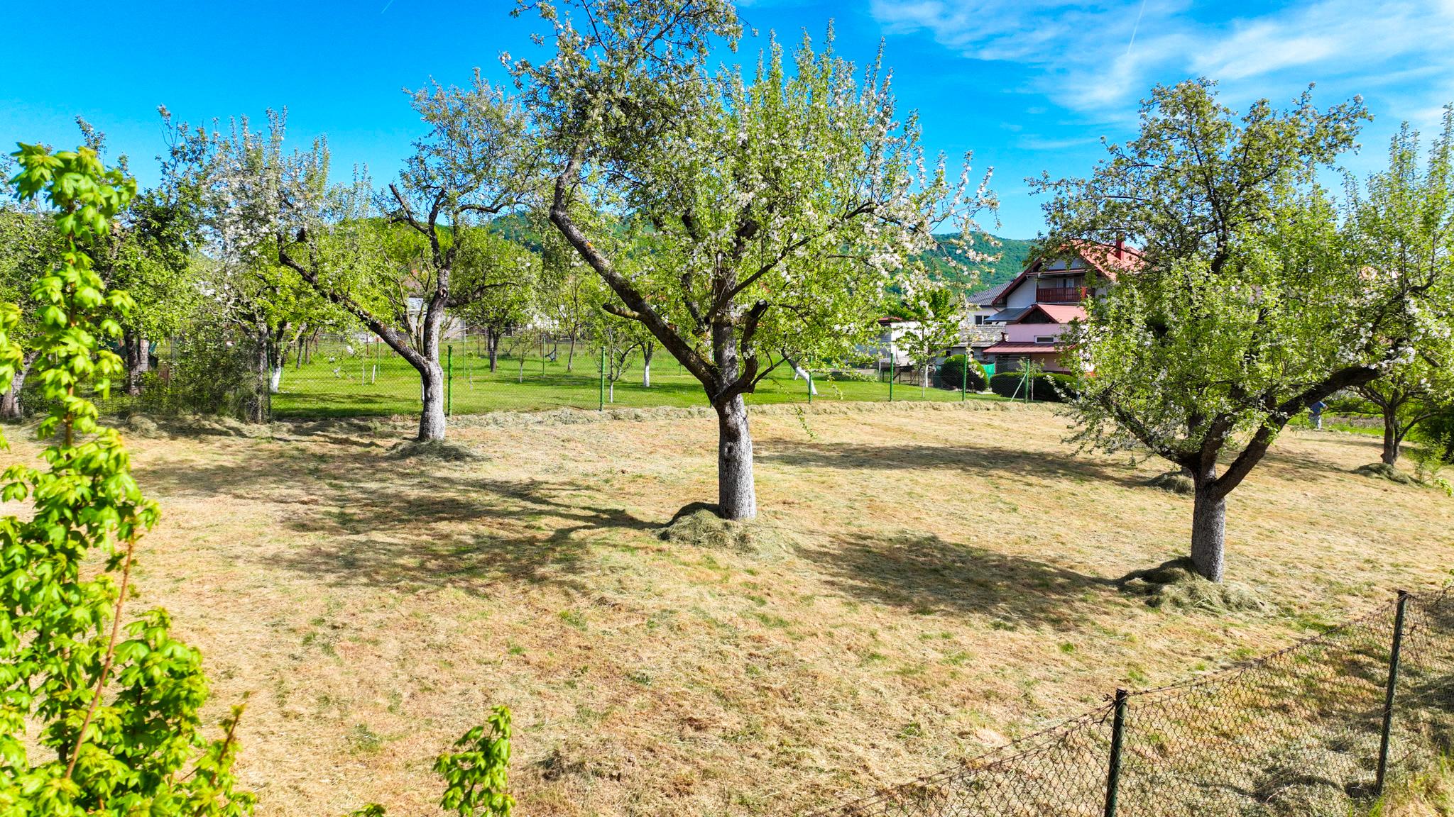 Slnečný, rovinatý pozemok s možnosťou stavby 1565m², Voznica