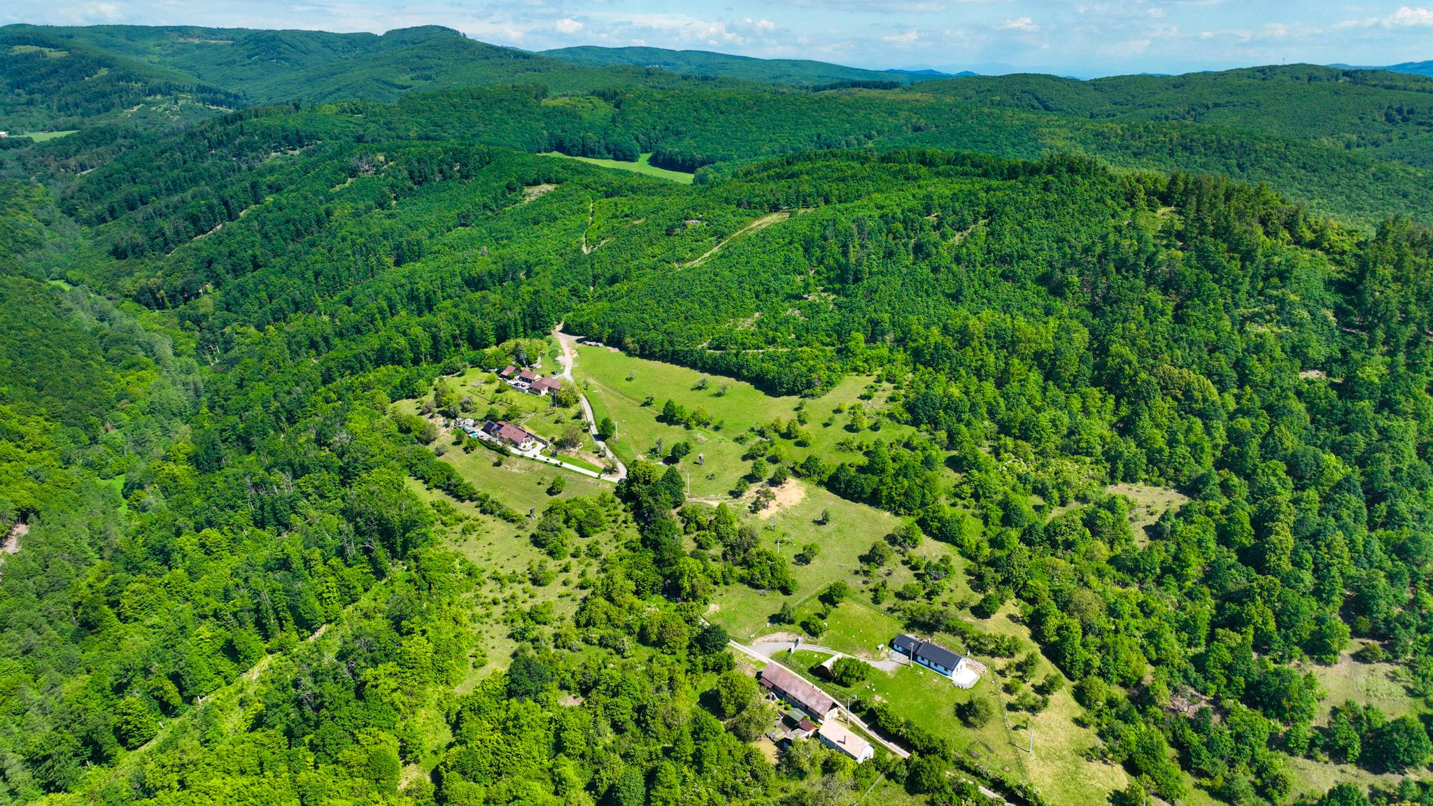 Slnečný, rekreačný pozemok, 13 475m2, Krupina