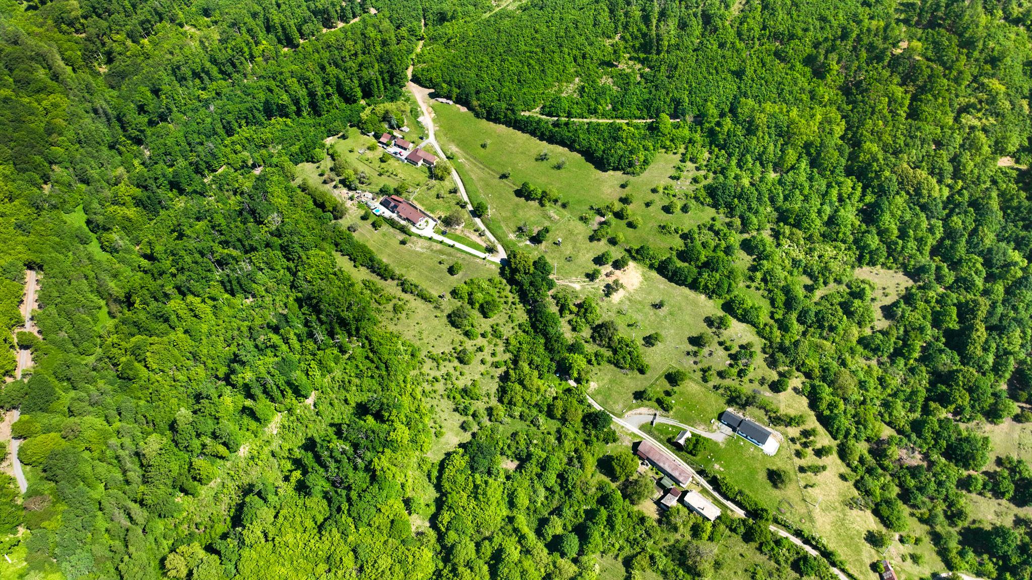 Slnečný, rekreačný pozemok, 13 475m2, Krupina