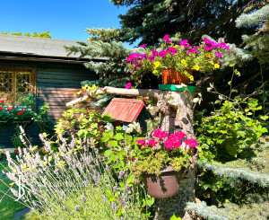 REZERVOVANÉ 4-izbová chata, 74m2, Počúvadlo Jazero - Banská Štiavnica