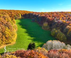 Slnečný, rekreačný pozemok o veľkosti 22 687m2, Krupina