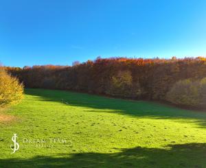 Slnečný, rekreačný pozemok o veľkosti 22 687m2, Krupina