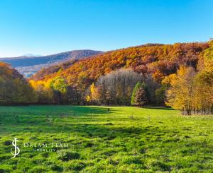 Slnečný, rekreačný pozemok o veľkosti 22 687m2, Krupina