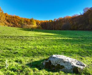 Slnečný, rekreačný pozemok o veľkosti 22 687m2, Krupina