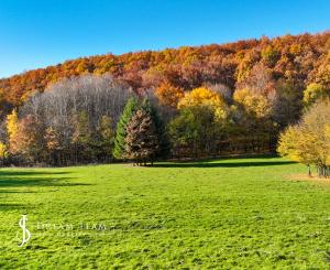 Slnečný, rekreačný pozemok o veľkosti 22 687m2, Krupina