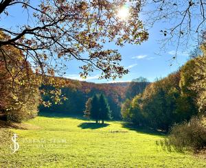 Slnečný, rekreačný pozemok o veľkosti 22 687m2, Krupina