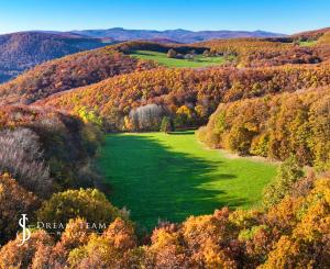 Slnečný, rekreačný pozemok o veľkosti 22 687m2, Krupina