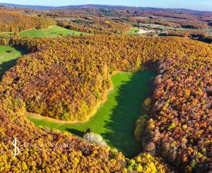Slnečný, rekreačný pozemok o veľkosti 22 687m2, Krupina