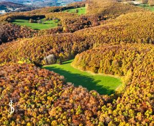 Slnečný, rekreačný pozemok o veľkosti 22 687m2, Krupina