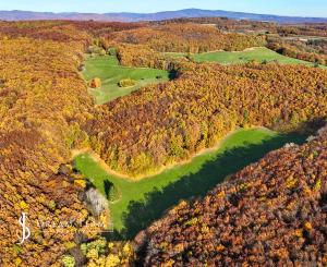 Slnečný, rekreačný pozemok o veľkosti 22 687m2, Krupina