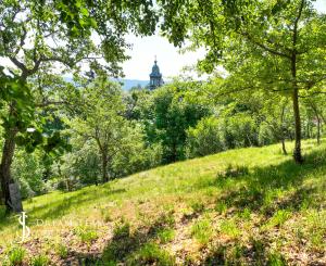 Slnečný, rekreačný pozemok 1250m2, centrum Banská Štiavnica
