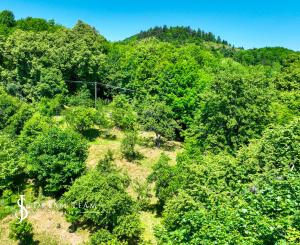 Slnečný, rekreačný pozemok 1250m2, centrum Banská Štiavnica