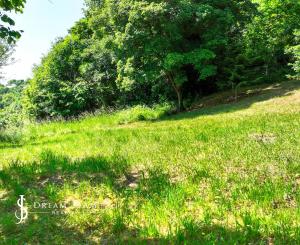 Slnečný, rekreačný pozemok 1250m2, centrum Banská Štiavnica