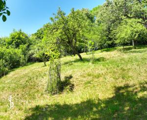 Slnečný, rekreačný pozemok 1250m2, centrum Banská Štiavnica