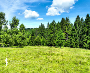 Stavebný pozemok 2.2ha v krásnom prostredí, Látky okr. Detva