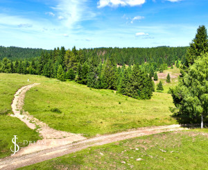 Stavebný pozemok 2.2ha v krásnom prostredí, Látky okr. Detva