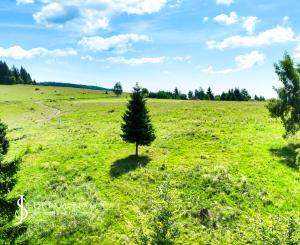 Stavebný pozemok 2.2ha v krásnom prostredí, Látky okr. Detva