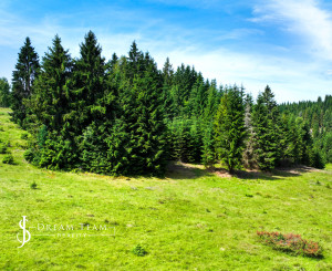 Stavebný pozemok 2.2ha v krásnom prostredí, Látky okr. Detva