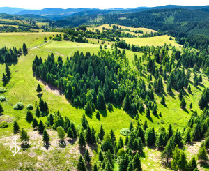 Stavebný pozemok 2.2ha v krásnom prostredí, Látky okr. Detva