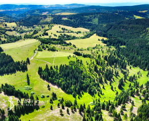 Stavebný pozemok 2.2ha v krásnom prostredí, Látky okr. Detva