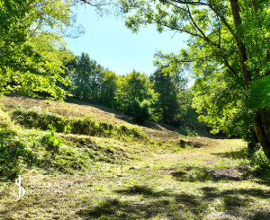 Pozemok so stavebným povolením, 2781m2 - Banská Štiavnica