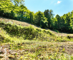 Pozemok so stavebným povolením, 2781m2 - Banská Štiavnica
