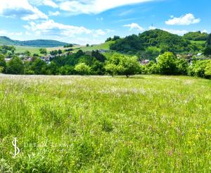 Rovinatý, slnečný pozemok s možnosťou stavby, Banská Belá