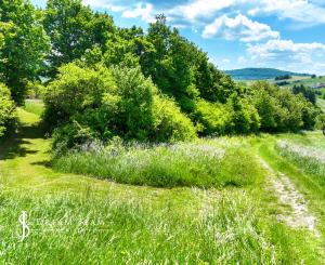 Rovinatý, slnečný pozemok s možnosťou stavby, Banská Belá