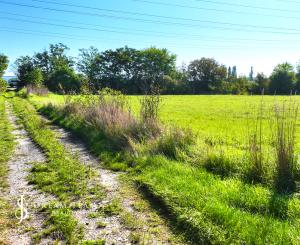 18 500m2 pozemok pre výstavbu rodinných domov, Leopoldov